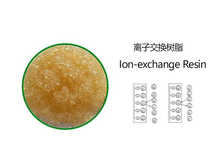 lon exchange resin